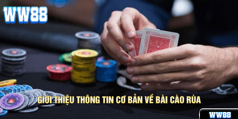 Bài Cào Rùa WW88 Và 4 Bí Quyết Thắng Lớn