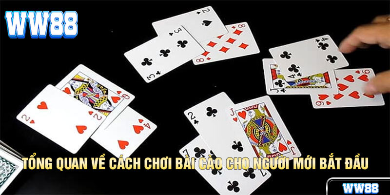 Cùng Chinh Phục Cách Chơi Bài Cào Lấy Tiền Triệu